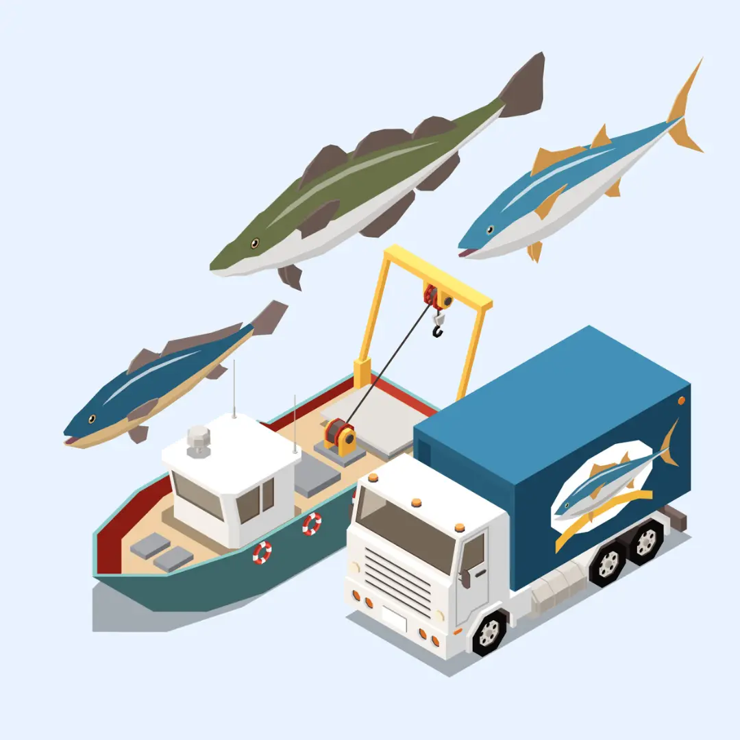 Illustration showing fishing and temperature-controlled delivery by a fresh fish supplier in Abu Dhabi