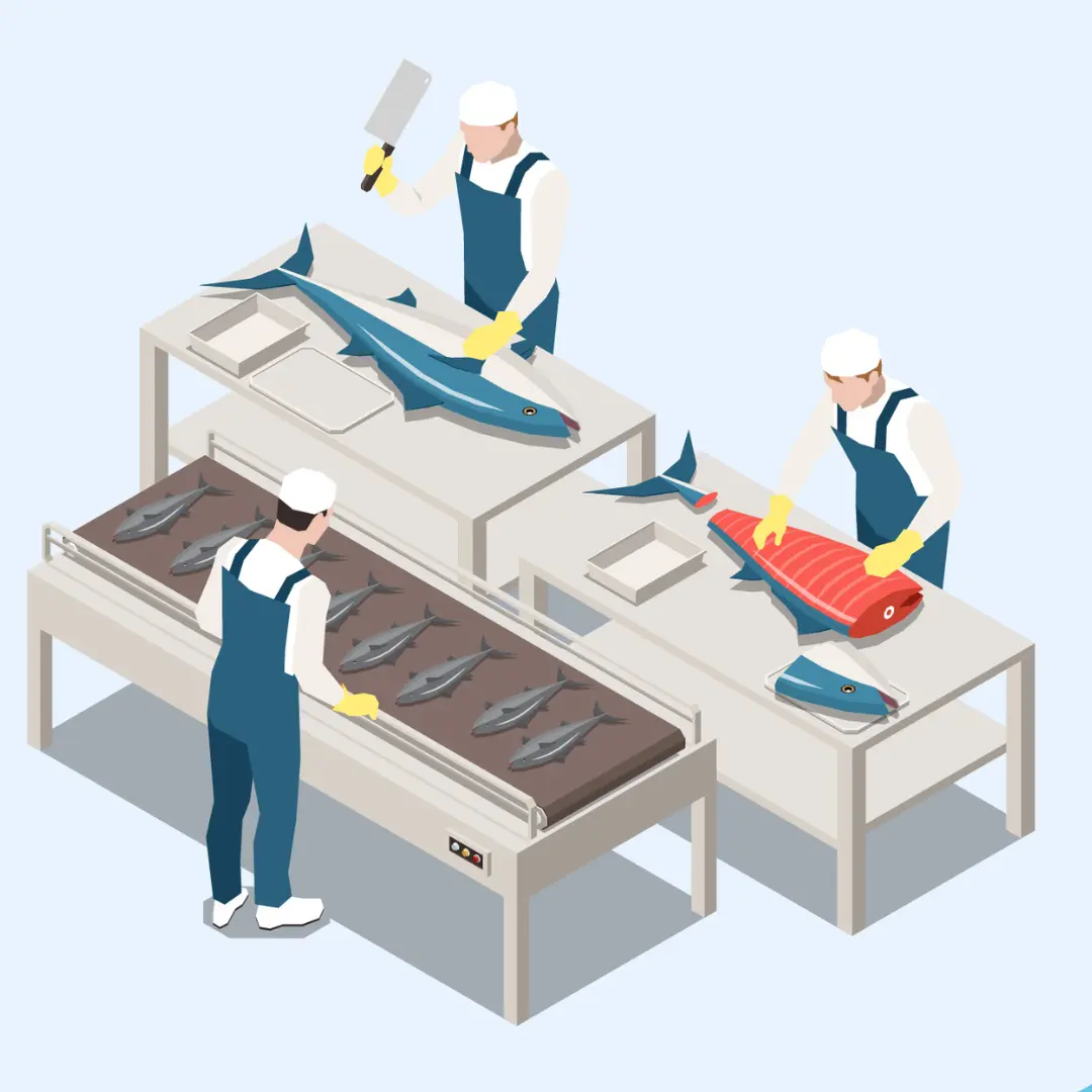 Illustration showing fish cutting and sourcing by a fresh fish supplier in Abu Dhabi