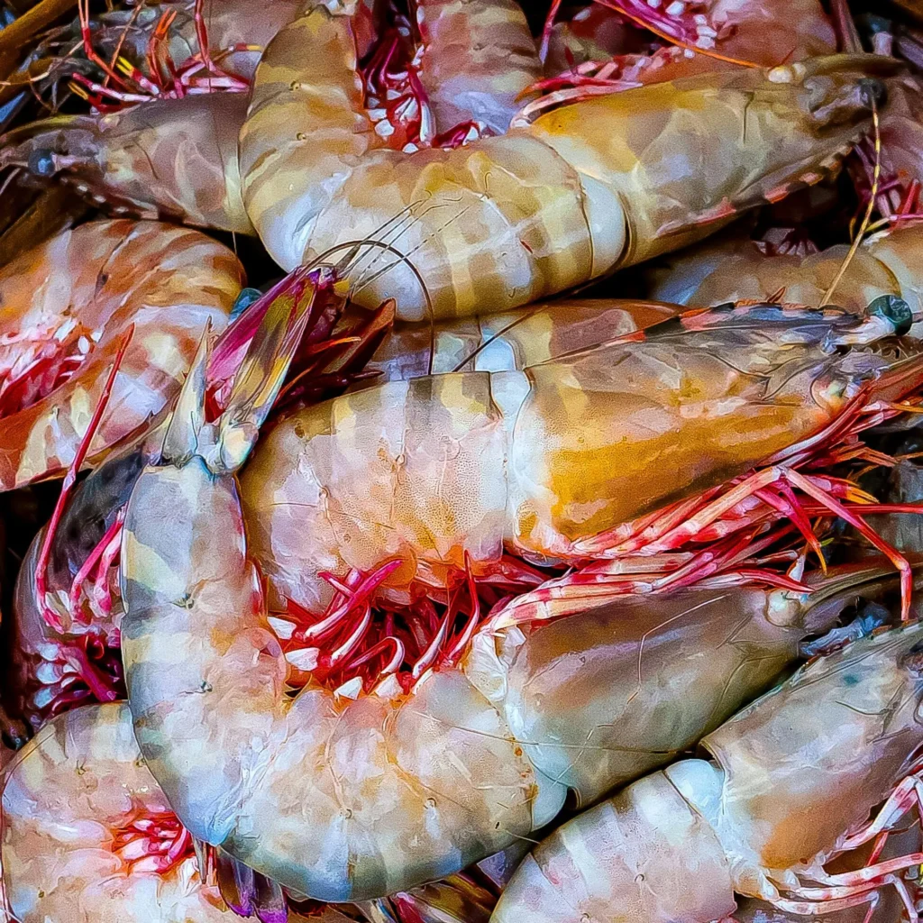 pexels-manojmk-brucelee-743756295-33202175 (1)